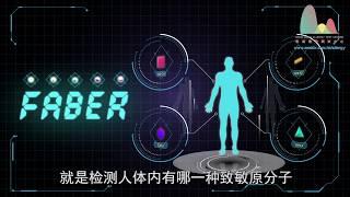 第三代IgE过敏测试, Faber - 香港过敏源测试, 香港过敏原检测, 香港皮肤过敏测试, 香港过敏测试