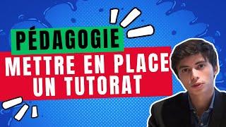 Comment mettre en place un tutorat ? | Lextenso