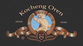 KOCHENG OREN LUCU NGAKAK KOMPILASI SHOW !