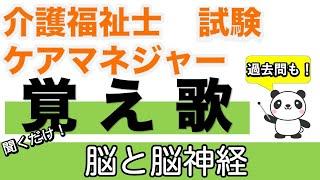 脳と脳神経　覚え歌・語呂合わせ・過去問も【介護福祉士】【ケアマネジャー】【聞くだけ過去問対策】【ケアパンの森】