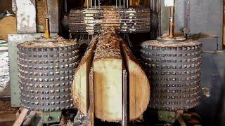 Amazing Modern Wood Sawmill Processing Technology, Dangerous Big Wood Multisaw Sawmill Machines