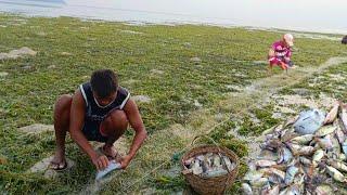 ANG LAKING HIBAS MGA ISDA NAHIBASAN