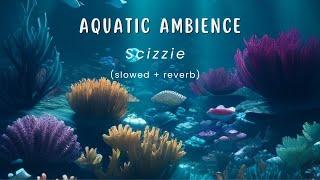 Aquatic Ambience - Scizzie (slowed + reverb) 1 Hour