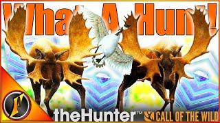 What. A. Hunt! TRIPLE Diamond on Yukon Valley! | theHunter Call of the Wild