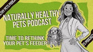 Time to Rethink Your Pet's Feeder | NHP Podcast Ep 37 | Dr. Judy Morgan & Carol Smeja