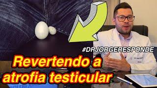 ATROFIA TESTICULAR, O QUE VOCÊ PRECISA SABER - #DRJORGERESPONDE