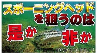 【村田基】[スポーニングベッド]狙う釣りって言うのは【村田基奇跡の釣り大学切り抜き】 2023/05/06より