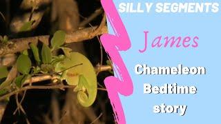 James Hendry reads a chameleon a bedtime story safarilive funny moment