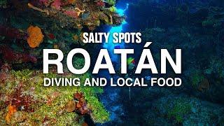 Coral Reef Diving & Local Seafood In Roatán Honduras | Salty Spots