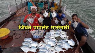 नवीन ठिकाणी केली पापलेट मासेमारी. pomfret fishing in new place. Mumbai India fishing #pomfret #boat