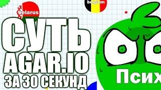 ВСЯ СУТЬ AGAR.IO