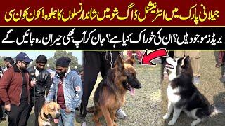 International Dog Show In Lahore Jilani Park | Top Breeds And Their Fascinating Diets | Public News