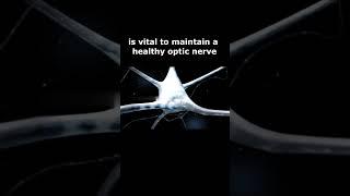 How to protect optic nerve -  Maintaining optimal blood flow to the optic nerve