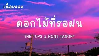 ดอกไม้ที่รอฝน (spring) - THE TOYS x NONT TANONT(เนื้อเพลง)