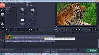 Обрезка видео в программе Movavi Video Editor