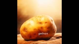 Potato