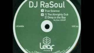 DJ RaSoul - True Science