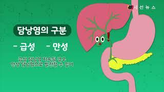 담낭에 염증 생기는 ‘담낭염’, 급격한 다이어트 조심 [건강프라임]