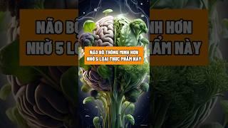 5 thực phẩm giúp não bộ thông minh hơn – tăng trí nhớ, tập trung hiệu quả