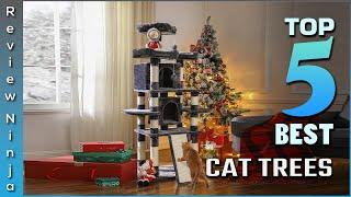 Top 5 Best Cat Trees Review In 2022