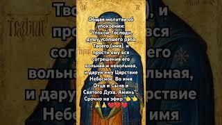 Общая молитва об упокоении:"Упокой, Господи, ду #божья #любовь #псалмы