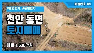 [매물번호 #9] 천안시 동남구 동면 덕성리 토지매매 1천5백