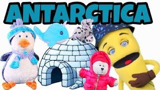 The Antarctica Song | DANCE MUSIC FOR KIDS | feat Mr Kyle