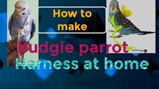 How to make budgie parrot Harness at home || Australian  ka harness Ghar par Kaise banye