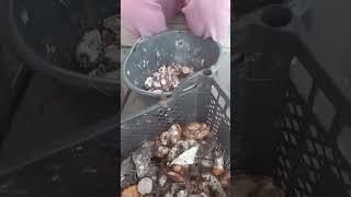 У каждого свои занятия