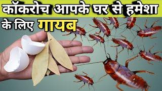 घर में छिपे कॉकरोच से छुटकारा पाने के आसान घरेलू उपाय/ Get Rid of Cockroach