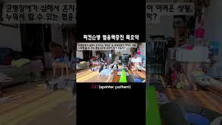 파킨슨 보행훈련 안전하게 하려면! #깨금발재활운동센터 #한봄찬시니어케어 #가정방문재활 #파킨슨재활 #방문재활 #시니어운동 #균형훈련 #보행교정