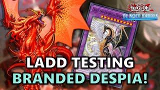 Light and Darkness Dragon Lord (LADD) Testing in Branded Despia POST INFO Format | July 2024