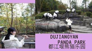 Seeing Panda for the First Time at Dujiangyan Panda Park  第一次近距离看到可爱的熊猫