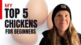 Top 5 Chicken Breeds for the Beginner