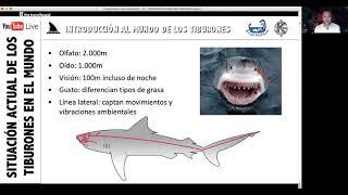 "Los tiburones en el mundo actual", con Karlos Simón