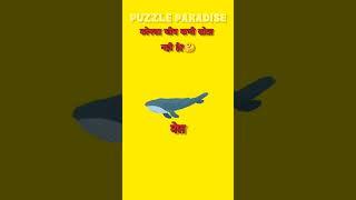 कौन सा जानवर कभी नहीं सोता? #puzzle #quiz #puzzleparadice