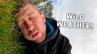 Lambing in 50mph Winds! - Lambing day 4