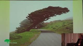 Sustainabiliency – Can’t Have One without the Other