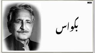 Ghani khan | BAKWAS