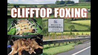 CORNISH CLIFFTOP FOXING GOES OFF WITH A BANG