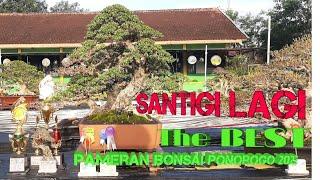 BONSAI SANTIGI JUARA//Pamlok Pbbi Ponorogo 2023