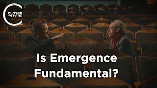 Nancey Murphy - Is Emergence Fundamental?