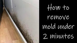 TREATING MOLD IN HOUSE! - How to get away your mold with these TWO easy steps