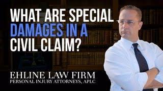 What are 'special damages' in a civil claim?