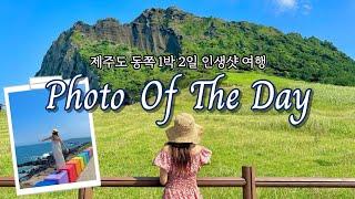 ️내가 만든 제주도 1박 2일 여행 인생샷 코스(동쪽ver)  | POTD in JEJU 관광지, 숙소, 맛집, 카페 모음 zip | 제주 여행 일정 총정리️