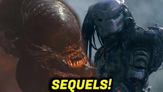 Alien: Romulus Sequel In The Works, SECRET Predator Movie Releasing Before Badlands! AVP Teased