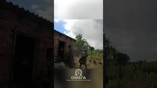 Бійці 5-го ОЗСП "ОМЕГА" на характері  #specialforces #нгу #military #омега