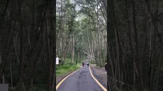 Long ride ️ #longride #couplegoals #nature #travel #youtubeshorts #shorts #trending #viral #fyp