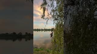 Так хочется мирного неба 