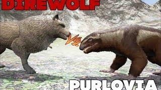 Битва в АРК 1 | Лютоволк против Пурловии | Direwolf vs Purlovia